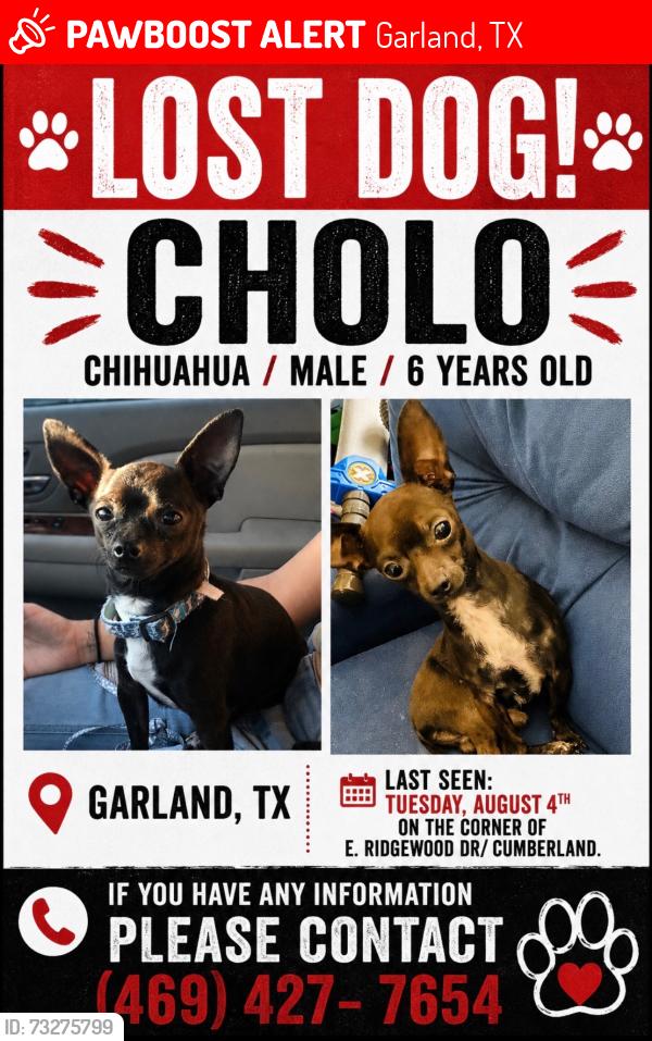 Lost Male Dog last seen Near Watson elementary, Garland, TX 75041