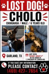 Lost Male Dog last seen Near Watson elementary, Garland, TX 75041