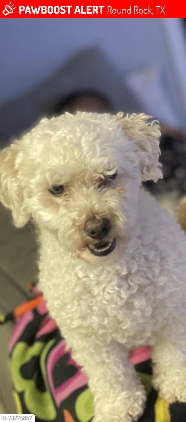 Lost Male Dog last seen Misty morning way round rock tx, Round Rock, TX 78664