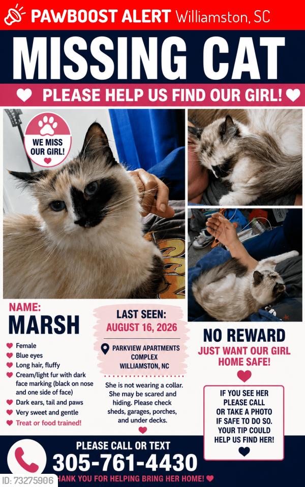 Lost Female Cat last seen Parkview apmt complex, Williamston, SC 29697