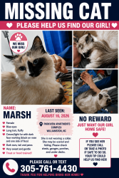 Lost Female Cat last seen Parkview apmt complex, Williamston, SC 29697