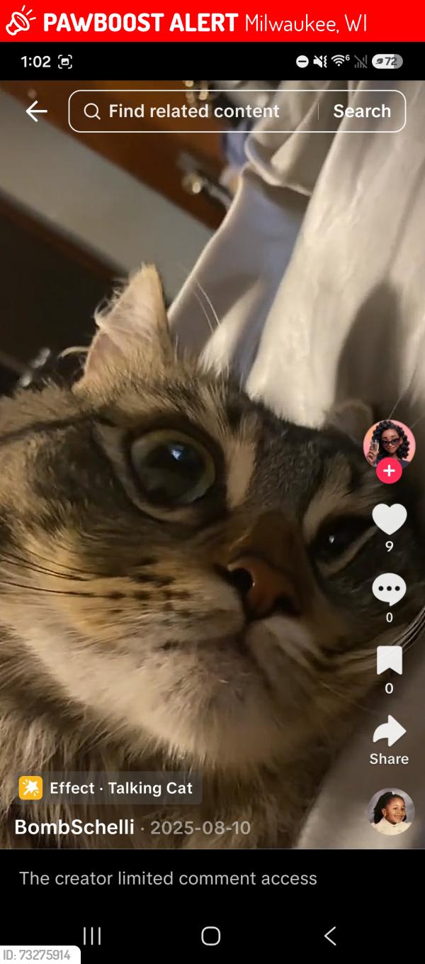 Lost Male Cat last seen North 1st street, Milwaukee, WI 53212