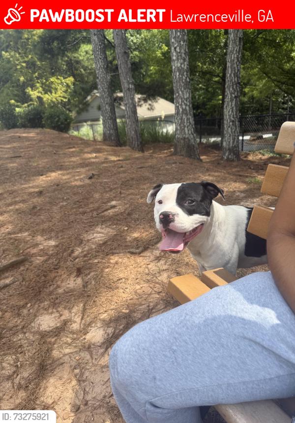 Lost Male Dog last seen Racetrack, Lawrenceville, GA 30045