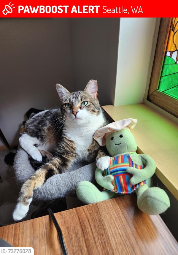Lost Male Cat last seen 57th Ave nw and 3rd Ave nw, Seattle, WA 98107