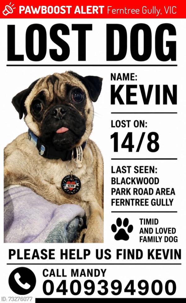 Lost Male Dog last seen Blackwood park road, Ferntree Gully, VIC 3156