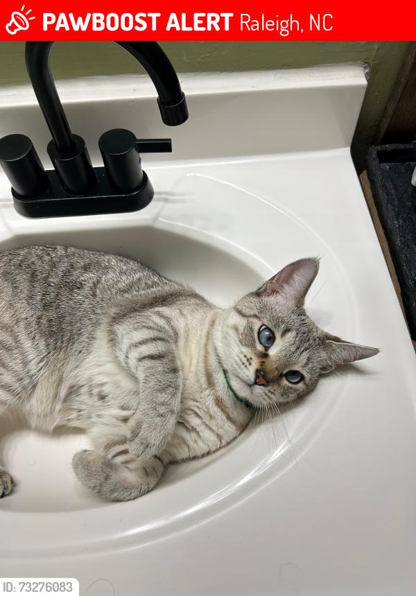 Lost Female Cat last seen Kyle dr, Raleigh, NC 27616