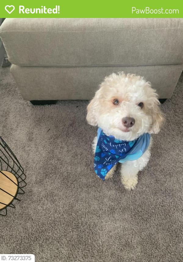 Reunited Male Dog last seen O’reilly Part Store, McDonough, GA 30253