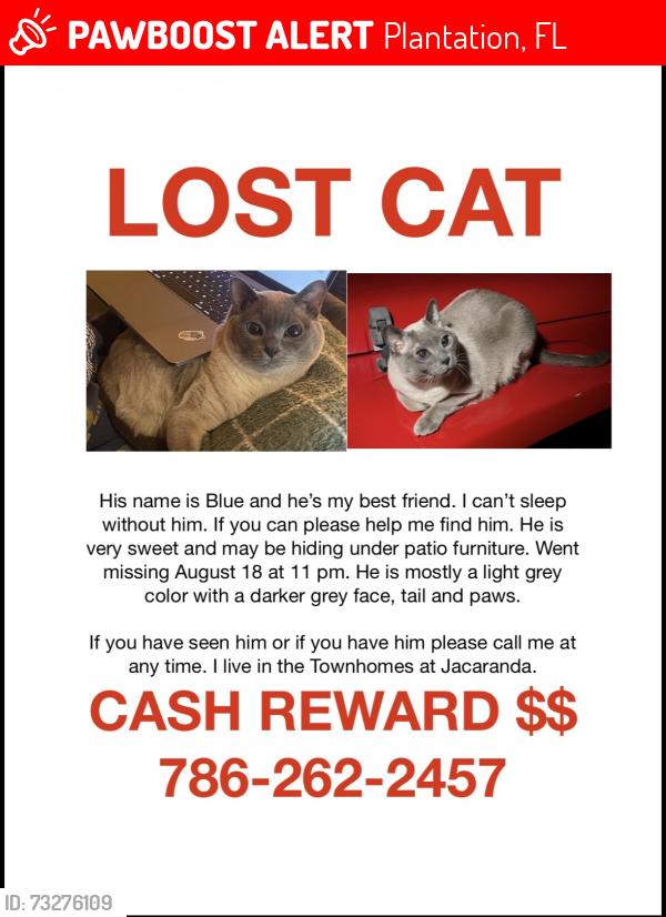 Lost Male Cat last seen s of Jacaranda (Clearly Blvd), Plantation, FL 33324