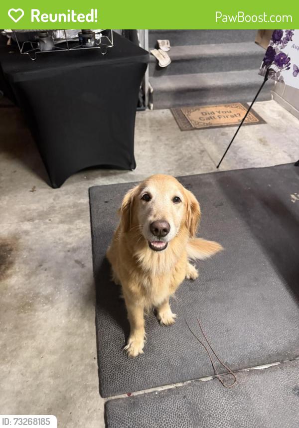 Reunited Female Dog last seen Trousdale ferry, Lebanon, TN 37087