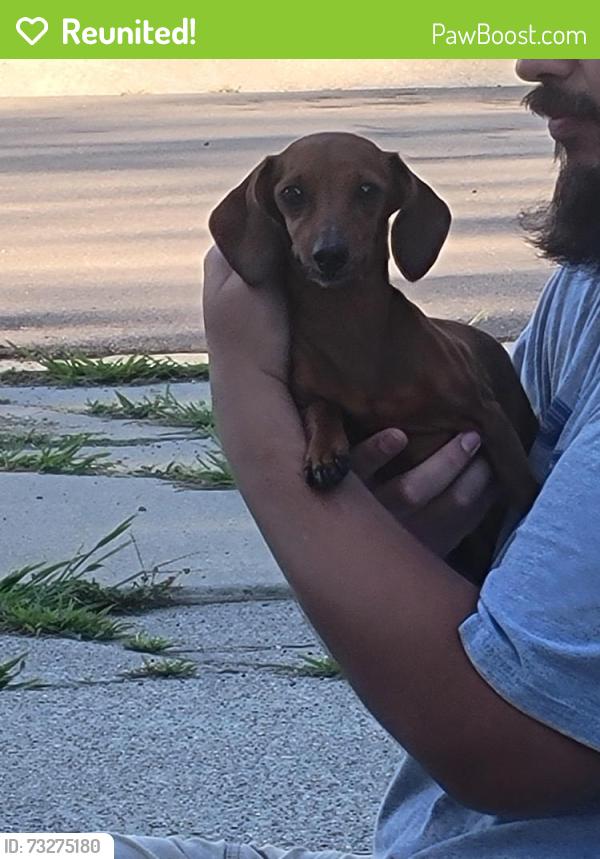 Reunited Female Dog last seen White Oak ests, Mt. Morris, Mount Morris Township, MI 48458