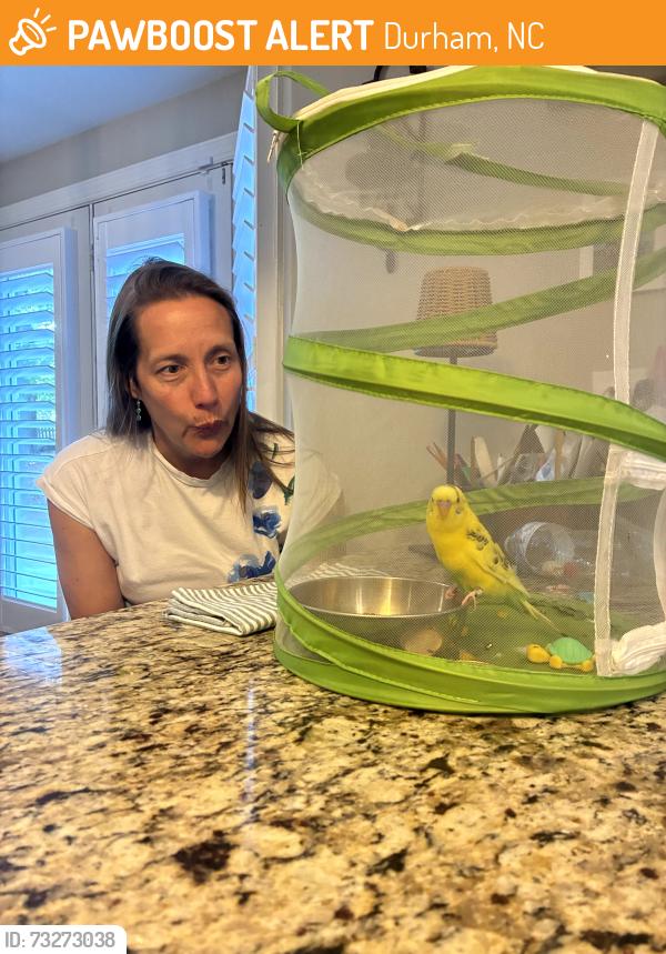 Found/Stray Unknown Bird last seen Near Bexley, Durham, Durham, NC 27707
