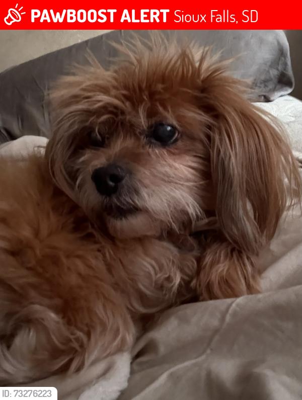 Lost Female Dog last seen Stoney Creek, Sioux Falls, SD 57106