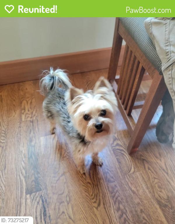 Reunited Male Dog last seen Chimney Hill Circle, Lakesite, TN 37379