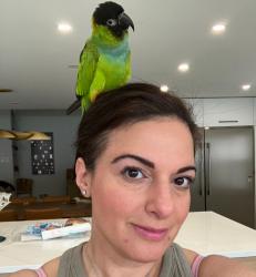 Lost Female Bird last seen Austin drive, East Brunswick, NJ 08816