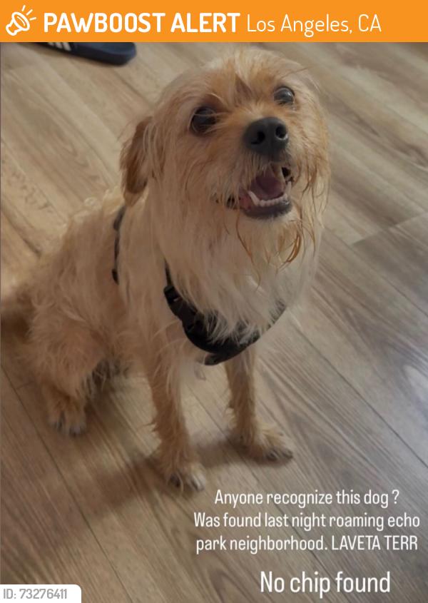 Found/Stray Male Dog last seen Echo park area, Los Angeles, CA 90026