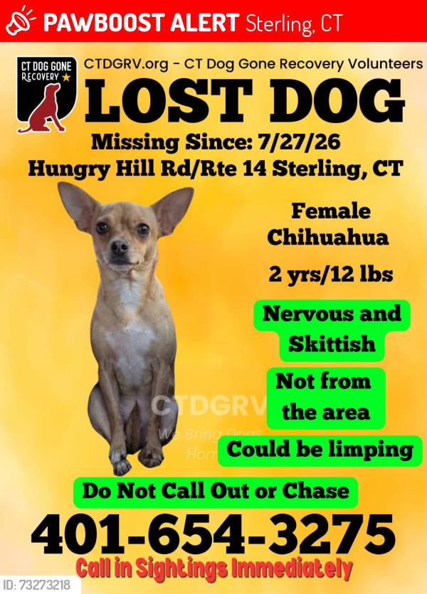 Lost Female Dog last seen Old cranston road sterling ct, Sterling, CT 06377