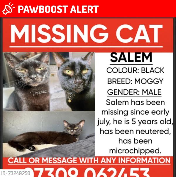 Lost Male Cat last seen Roberts Green Road, West Midlands, England 