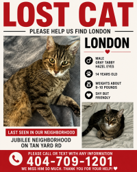 Lost Male Cat last seen Social circle highschool, Social Circle, GA 30025
