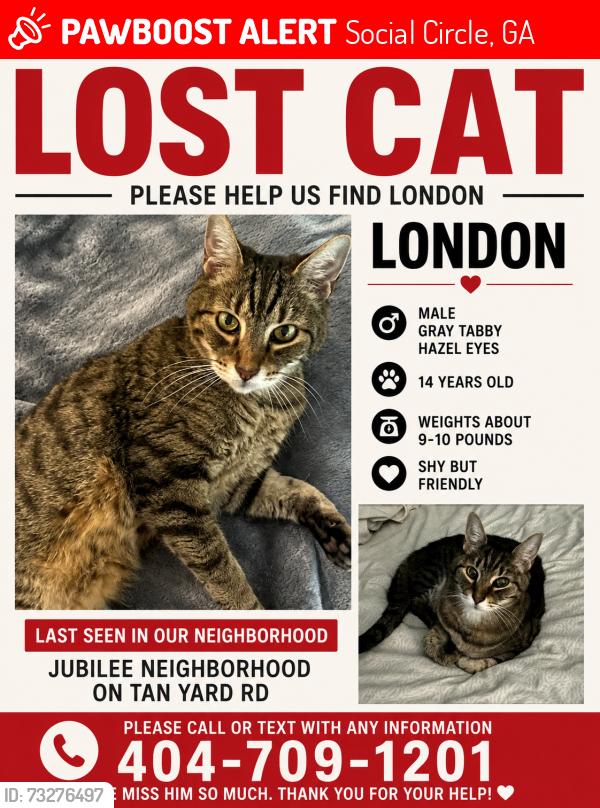Lost Male Cat last seen Social circle highschool, Social Circle, GA 30025
