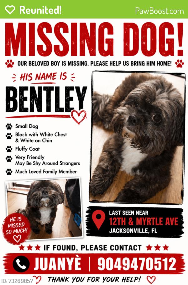 Reunited Male Dog last seen Myrtle, Jacksonville, FL 32209