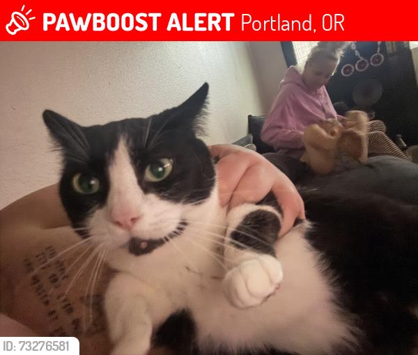 Lost Female Cat last seen Powell, Portland, OR 97236
