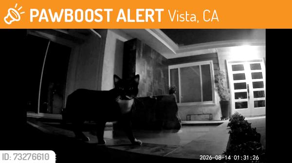 Found/Stray Unknown Cat last seen Apollo Dr, Vista, CA 92084