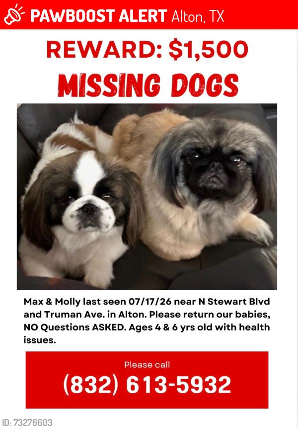 Lost Male Dog last seen Stewart st Alton Tx, Alton, TX 78573