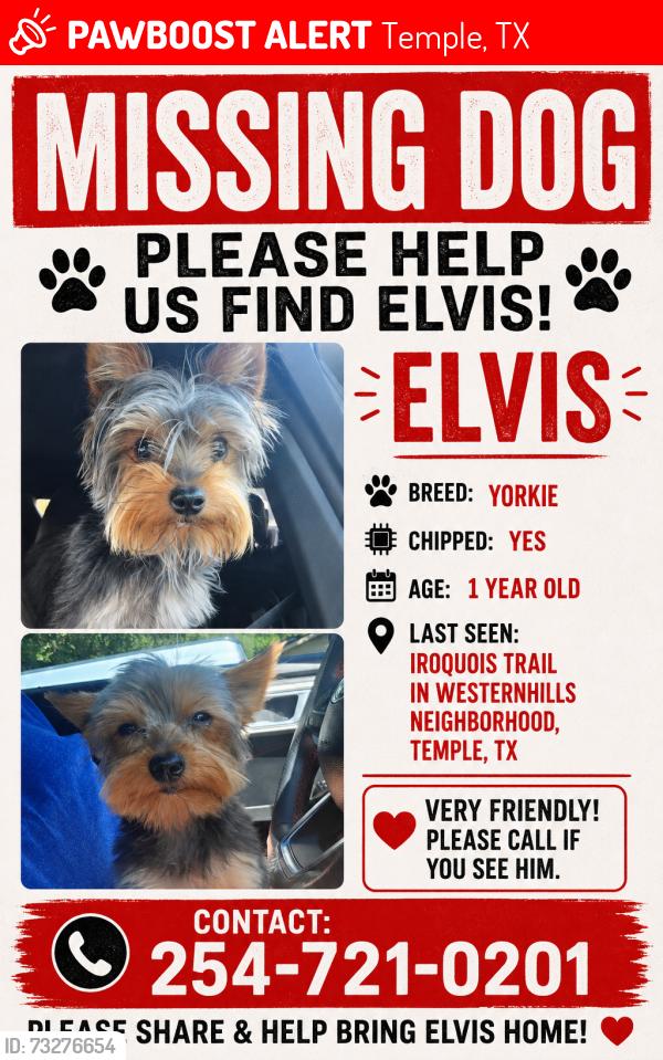 Lost Male Dog last seen Iroquois trail in westerhills neighborhood in temple, Temple, TX 76504