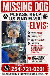 Lost Male Dog last seen Iroquois trail in westerhills neighborhood in temple, Temple, TX 76504