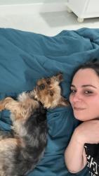 Lost Male Dog last seen Near Nw 100 th Ter Miami Fl, Miami, FL 33147