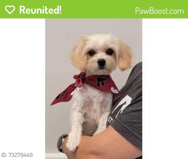 Reunited Female Dog last seen Chillicothe Country Club, Chillicothe, OH 45601