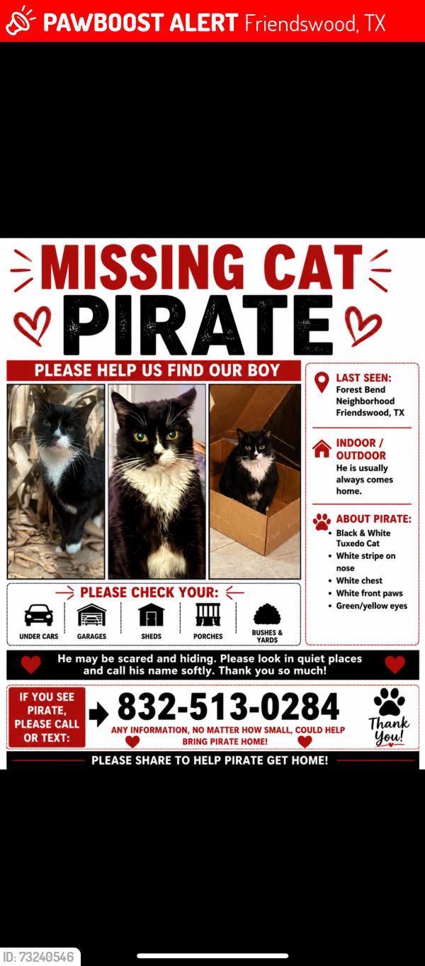 Lost Male Cat last seen forest bend neighborhood, Friendswood, TX 77546