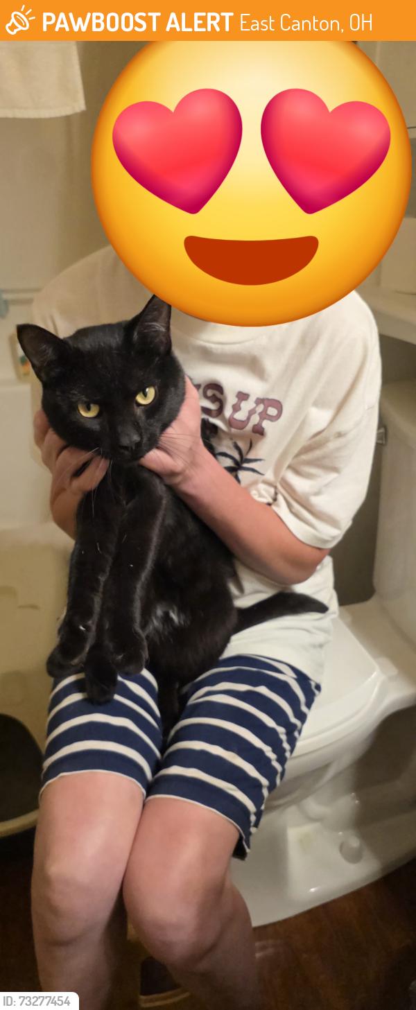Found/Stray Male Cat last seen Neimans Ave and neimans SE, East Canton, OH 44730