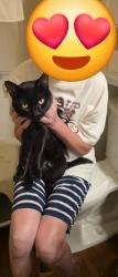 Found/Stray Male Cat last seen Neimans Ave and neimans SE, East Canton, OH 44730