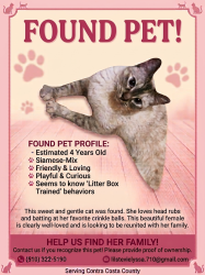 Found/Stray Female Cat last seen Main and Charles, Oakley, CA 94561