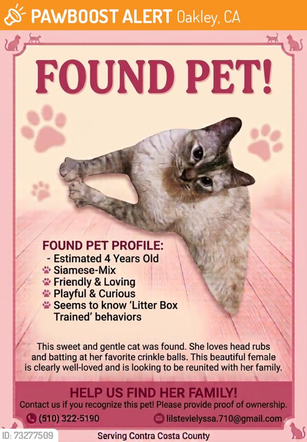 Found/Stray Female Cat last seen Main and Charles, Oakley, CA 94561