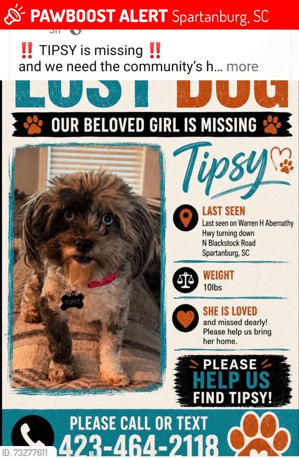 Lost Female Dog last seen Target Spartanburg SC, Spartanburg, SC 29301