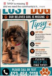 Lost Female Dog last seen Target Spartanburg SC, Spartanburg, SC 29301