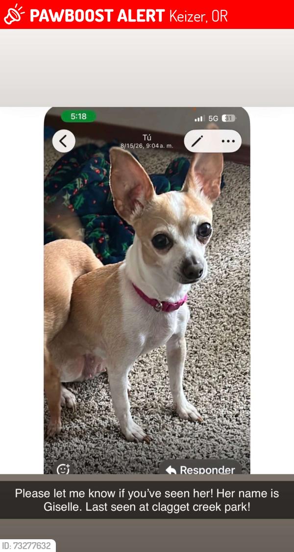 Lost Female Dog last seen Keizer station, Keizer, OR 97303