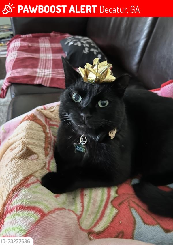 Lost Male Cat last seen Oakview rd and Maxwell St, Decatur, GA 30030