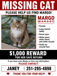 Lost Female Cat last seen McCue Circle off Fairhope Ave. Eastgate subdivision., Fairhope, AL 36532
