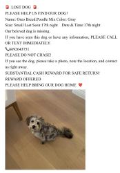 Lost Male Dog last seen Near Erma Ave,Fremont,CA, Fremont, CA 94539