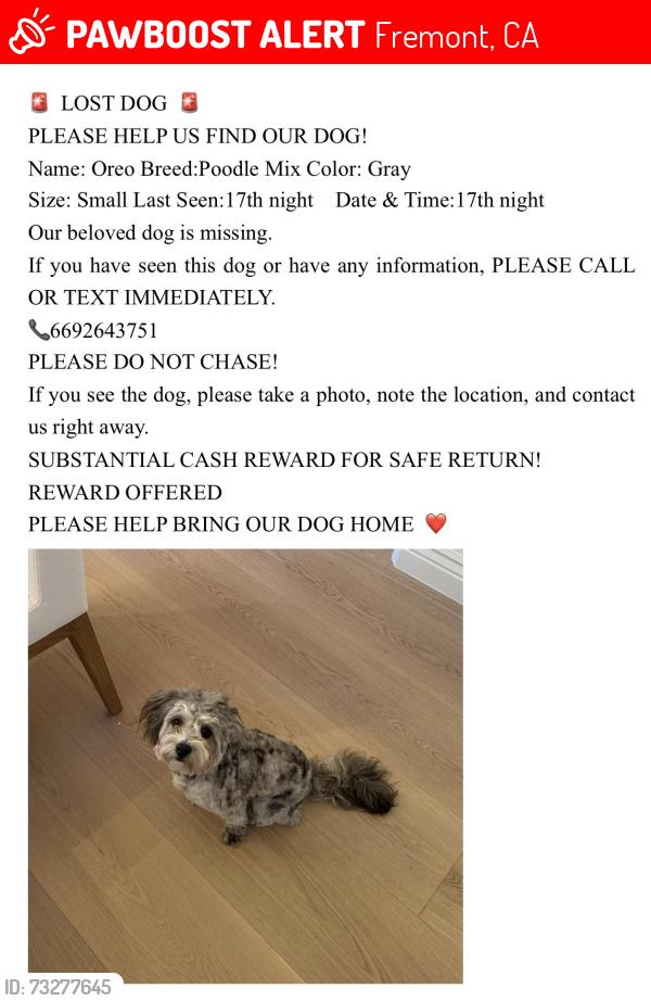 Lost Male Dog last seen Near Erma Ave,Fremont,CA, Fremont, CA 94539