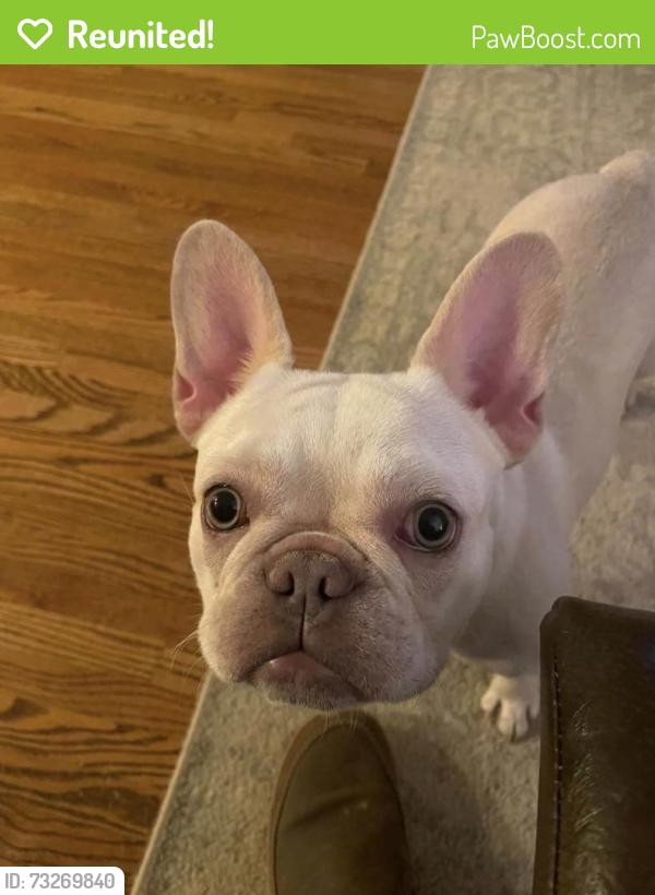 Reunited Female Dog last seen near brookstone/ summit ridge/ timber ridge subdivisions in Argo/Odenville Alabama, Odenville, AL 35120
