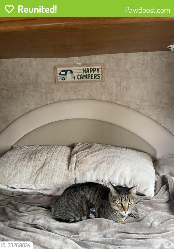 Reunited Male Cat last seen Escalante rd and canyon heights, Menifee, CA 92587