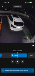 Found/Stray Unknown Dog last seen Major Mackenzie avenue and redstone avenue, Richmond Hill, ON L4S 1X8