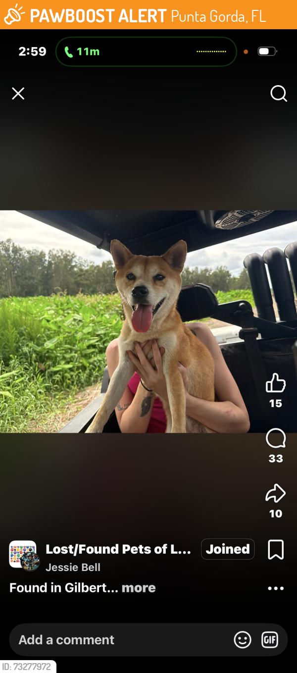 Found/Stray Female Dog last seen Woods, Punta Gorda, FL 33950