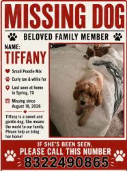 Reunited Female Dog last seen Cypresswood Dr, Harris County, TX 77388