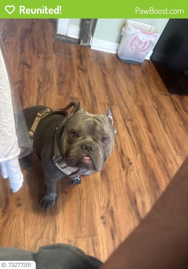 Reunited Male Dog last seen San Luis Grocery store, Kenosha, WI 53140