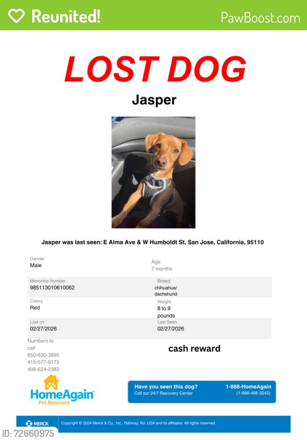 Reunited Male Dog last seen Alma and ponmona san jose ca, San Jose, CA 95110